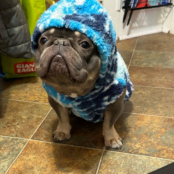 Meet your Posher, Jakia - Picture 2 of 9